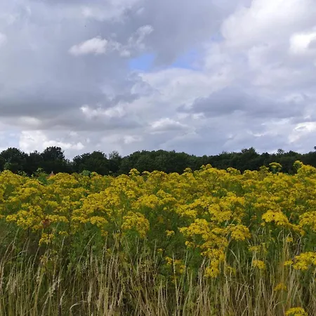 6 Person In Vakantiehuis