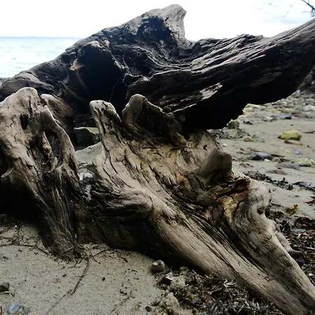 6 Person In Nyaraló *