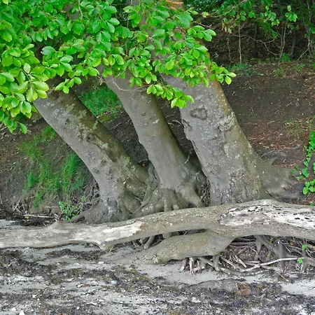 6 Person In Nyaraló Hejls